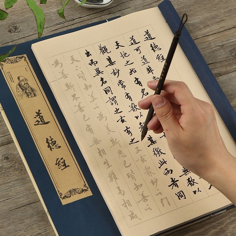 Brush Pen Copybooks Chinese Ch - Chinese Calligraphy Practice Book recension och pris