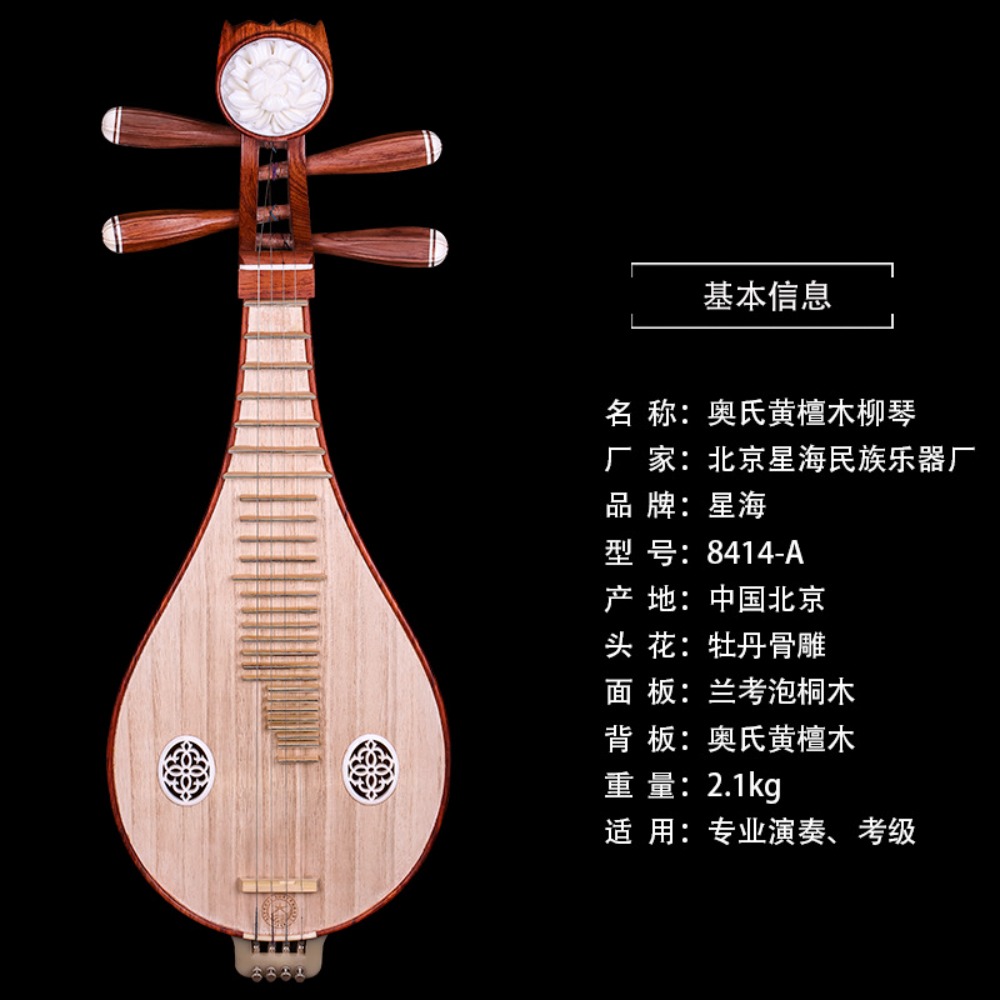 Beijing Xinghai 8414-A Rosewoo - Music recension och pris