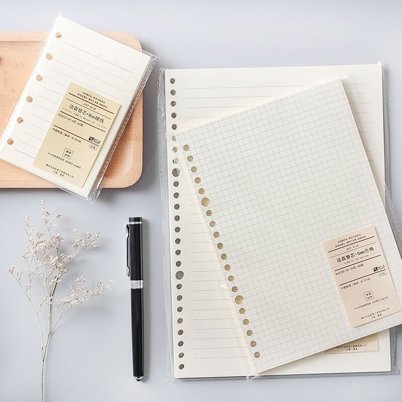 A5 B5 Line Grid 20Holes Loose- - A5 Spiral Dotted Grid Notebook recension och pris