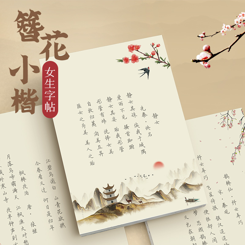 Hairpin Flower Small Kai Calli - Chinese Calligraphy Practice Book recension och pris