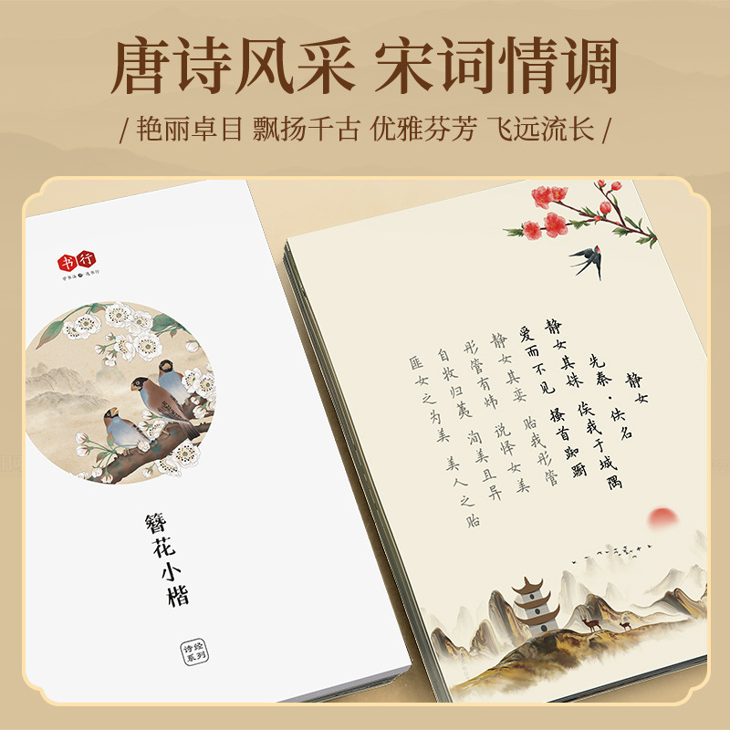 Hairpin Flower Small Kai Calli - Chinese Calligraphy Practice Book recension och pris