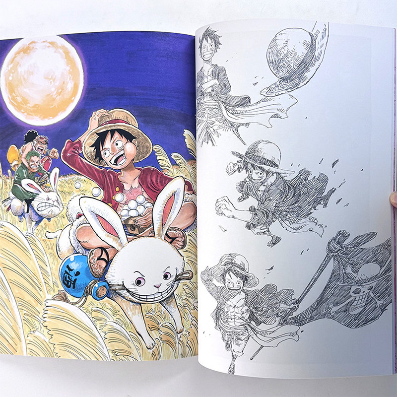 One Piece Illustration Book Co - Stationery Books recension och pris
